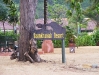 khaolakPicture 383